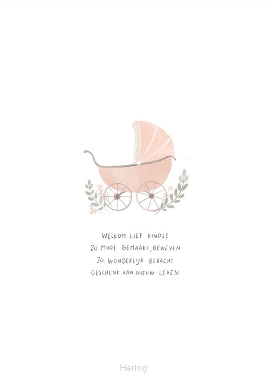 Welkom lief kindje (rose) - wenskaart