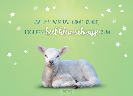 Laat mij van Uw grote kudde - kaart