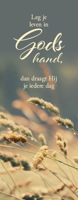 Leg je leven in Gods hand - boekenlegger